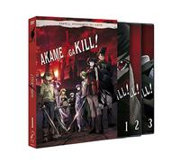Akame Ga Kill Episodios 1 A 12 [DVD]