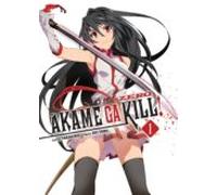 AKAME GA KILL! ZERO 01