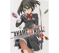 Akame Ga Kill! Zero 3 (SIN COLECCION)