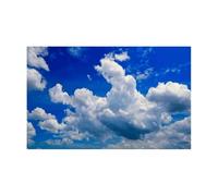 AKDJGFP Fondo de Acuario Adhesivo for Fondo de Acuario, decoración de Fondo de pecera con Nubes, Accesorios de PVC for Acuario.(Color1,41x61cm)