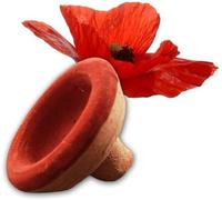 Aker Fassi Marruecos - Lápiz labial y rubor marroquí - Cosmético natural, pétalos de amapola y granada, aplicación simple, secado rápido, legado marroquí, biodegradable y totalmente natural