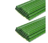 Akfldms Paquete de 50 Estacas de JardíN - Jaula para Plantas con Revestimiento de Plástico Y Metal Que Admite la Escalada para Tomates, árboles, Pepinos, Vallas, Frijoles, 40 cm