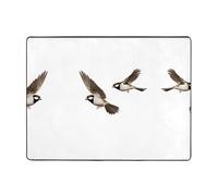 AKGFFDS Alfombra antideslizante de 160 x 121,9 cm, impresión de gorrión que vuela libremente, buena absorción de agua, adecuada para cocina, baño y sala de estar