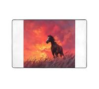 AKGFFDS The horse at sunset - Alfombra de tela de franela estampada de 60 x 39 pulgadas para sala de estar, oficina, mesa de café, cama, balcón