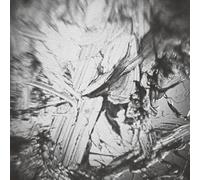 Aki Onda - In The Depth Of Illusion: A Soundtrack For Nervous Magic Lantern [Vinyl LP] [VINYL] [Vinilo]