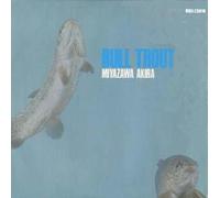 Akira Miyazawa - Bull Trout [Import]