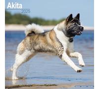 Akita Calendar 2025 Square Dog Breed Wall Calendar - 16 Month