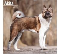 Akita Calendar 2026 Square Dog Breed Wall Calendar - 16 Month