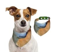 Akita Inu Bokeh Mascotas Perros Akita Inu,Pañuelos de algodón para Perros, Bufandas Ajustables para Mascotas,S
