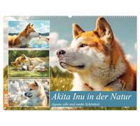 Akita Inu in der Natur. Japans edle und sanfte Schönheit (Wandkalender 2026 DIN A2 quer), CALVENDO Monatskalender: Der Akita Inu in all seiner Ruhe, Kraft und Schönheit