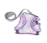 AKLOSIPY Juego de ArnéS y Correa Reflectante Transpirable para Perros y Gatos Pequeños medianos: Chaleco para Caminar Cómodo Seguro, Verde S (S)