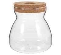 AKOOSY Terrario de Plantas de Vidrio Transparente Mediano Tapa Perforada Contenedor para Micropaisaje y Plantas Suculentas Pecera Pequeña Adecuado para Decoración Interior Natural