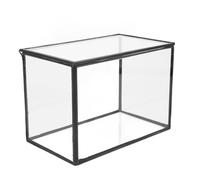 AKOOSY Terrario de Vidrio para Suculentas Negro Soporte para Exhibición de Paisaje Contenedor de Cristal Transparente para Decoración de Mesa y Micro Paisaje DIY