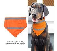Akozon Akozon Pet Pet Puppy Puppy Collar BEB Bable Naranja Fluorescente Naranja Grande para Casa (L)