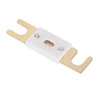 Akozon Anl Dc32V 300A M10 Chapado en Oro para Coche Amplificador Estéreo Inversor Rv Barco Protección de Circuito de Alto Amperaje (C(400A))
