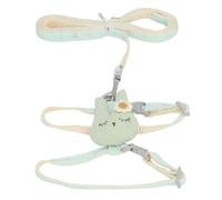 Akozon Chaleco para, Arneses, Correa para Llevar, Cómoda, para Cachorros, Mascotas, Arnés para Caminar, Correa para Perros Pequeños y Medianos (Verde Claro)