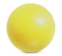 Akozon Estabilidad Gruesa Antiexplosión de 25cm para Entrenamiento Físico de Barra de Pilates, PVC de Ejercicio Pequeño de 9,8 Pulgadas con Bomba Manual