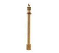 Akozon Extensión de la válvula del neumático de latón, Varilla de extensión de la válvula del neumático del automóvil Varilla del Poste del Coche para RV Camión Camper Recogida(100mm)