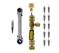 Akozon Extractor de Núcleo de Válvula de CA, Kit de Herramientas de Extracción de Núcleo de Válvula de Aire Acondicionado Multifuncional para Equipos de Refrigeración Domésticos