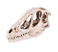 Akozon Figura de Dinosaurio, Patrón de calavera de resina | Esqueleto forma de cabeza de animal simulado decoración Oficina en el hogar Accesorio de enseñanza Artesanal Muerte