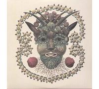 Akron Family - Akron/Family [Vinilo]