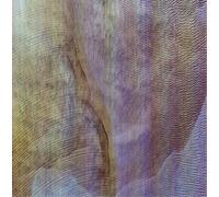 Akron Family - Sub Verses [Vinilo]