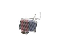 AKS DASIS 059017N Radiador de calefacción