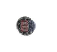 AKS DASIS 138880N Embrague, ventilador del radiador