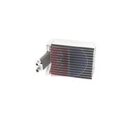 AKS DASIS 820105N Evaporador, aire acondicionado
