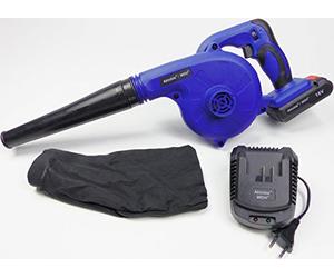 Aktobis Soplador de Mano a batería WDH-6601 con batería Liion de 18 V, Cargador, Boquilla y Bolsa para el Polvo