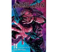 Jujutsu Kaisen, Vol. 14