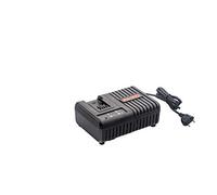 AL-KO 113858 Easy Flex C 60 Li - Cargador rápido, color negro