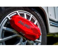 AL-KO ProSafe - Cepo antirrobo para caravanas y remolques, 28,5 x 15 x 5,4 cm, para Ruedas de 13-17 Pulgadas, con maletín de Almacenamiento
