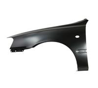 Ala Delantera Izquierda BLIC Para HYUNDAI ACCENT II 01.00-12.03 6504-04-3155311P