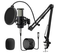 ALABS Micrófono de condensador XLR, kit de micrófono de grabación cardioide profesional con diafragma de 25 mm para transmisión, podcasting, canto, voz, micrófono de estudio con brazo de brazo, filtro