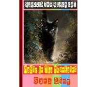 Aladdin The Black Cat: Magic In The Mountains