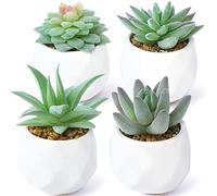 ALAGIRLS Mini suculentas Falsas en macetas,Set di 4 piante artificiali Decorative per interni, piante in plastica Finta realistiche in Mini vasi di plastica Bianca per Camera da letto, ufficio, Verde