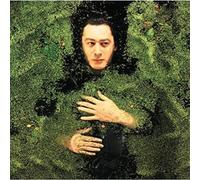 Alain Bashung - Fantaisie Militaire