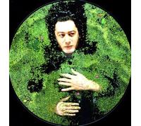 Alain Bashung - Fantaisie Militaire [Vinilo]
