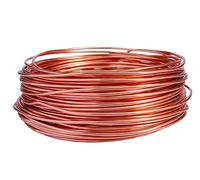 Alambre de aluminio anodizado de calibre 20 de 164 pies para hacer joyas, manualidades (0.8 mm, champán, 40804)