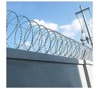Alambre De Cuchillas Cercado De Seguridad Alambre De Púas Tipo Concertina, Bobinas De Doble Hélice, Acero Galvanizado, Protección Útil Para Valla, Muro, Jardín, Fábrica ( Color : Silver , Tamaño : 100