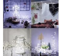 Alambre luces 100 led con batería blanco frío 3x aa 10m