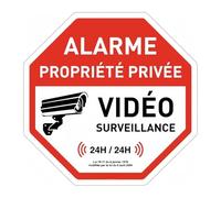 Alarma De Vídeo Metal for Carretera, Sin Señal, Acceso Prohibido, Propiedad Privada, Atención, Perro, No Entrar, No Estacionar, Advertencia Giro, 1 Ud(TYA0745-16,30x30cm)