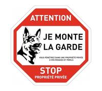 Alarma De Vídeo Metal for Carretera, Sin Señal, Acceso Prohibido, Propiedad Privada, Atención, Perro, No Entrar, No Estacionar, Advertencia Giro, 1 Ud(TYA0745-06,30x30cm)