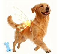 Alas que se iluminan para perros, alas de hadas 2026 para perro, disfraz de ala brillante para mascotas con luces LED, cachorro de cosplay de Navidad para perros medianos y grandes, viste a tus perros