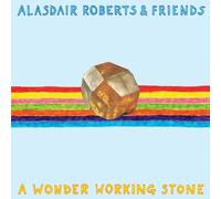 Alasdair Roberts & Friends - A Wonder Working Stone [Vinilo]