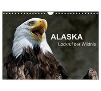 Alaska - Lockruf der Wildnis (Wandkalender 2026 DIN A4 quer), CALVENDO Monatskalender: Wunderschöne, spektakuläre und emotionale Landschafts- und ... die Einzigartigkeit der Wildnis Alaskas.