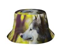 Alaskan Malamute Bokeh Mascotas Perros Lindo Sombrero de Cubo para Mujer Hombres, Sombreros de Verano para Hombres Mujeres
