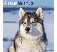 Alaskan Malamute Calendar 2024 Square Dog Breed Wall Calendar - 16 Month