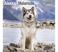 Alaskan Malamute Calendar 2025 Square Dog Breed Wall Calendar - 16 Month